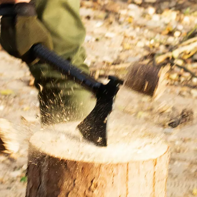 Многофункциональный топор Adimanti AXE-003 — Photo 11