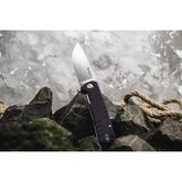 Ніж складаний Ganzo G769-PL — Photo 47