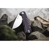 Ніж складаний Ganzo G769-PL — Photo 46