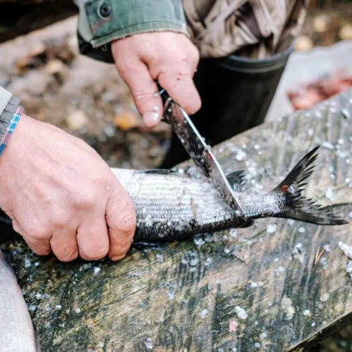 Как выбрать нож для рыбалки?