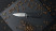 Нож складной Firebird FH41S-BK  