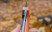 Нож складной Ganzo G722-OR оранжевый  